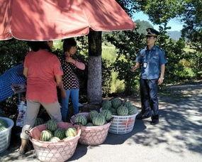 武都网红吃瓜群众事件视频,一场网络舆论的风暴与反思