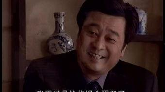 国家公诉35集在线观看,揭秘35集剧情高潮迭起，正义与邪恶的终极对决