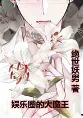 娱乐圈爆料王小说,揭秘明星背后的秘密风云