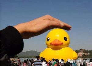 大黄鸭香港爆料视频播放