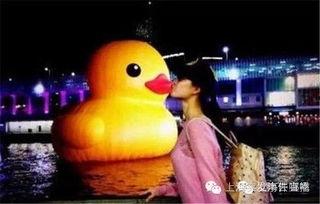 大黄鸭香港爆料视频播放