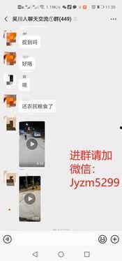 爆料视频今日关注,揭秘爆料视频背后的真相与影响