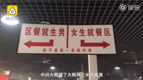 河南中学爆料最新消息视频,揭秘校园内幕，视频曝光惊人真相