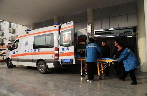 河南中学爆料最新消息视频,揭秘校园内幕，视频曝光惊人真相