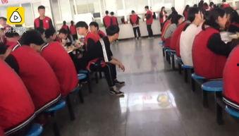 河南中学爆料最新消息视频,揭秘校园内幕，视频曝光惊人真相