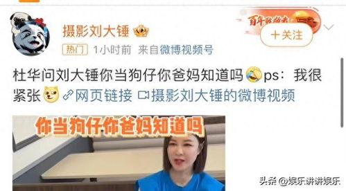 肖大锤最新爆料新闻,最新爆料新闻背后的惊人真相