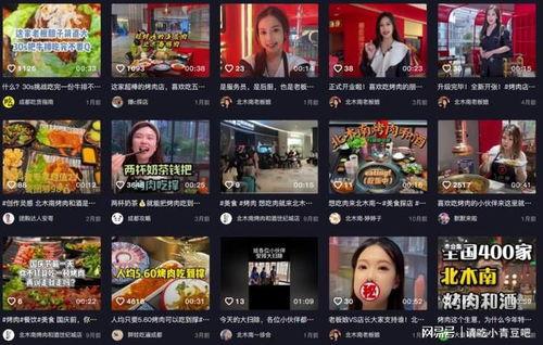 食品视频爆料大全,视频爆料大全深度解析