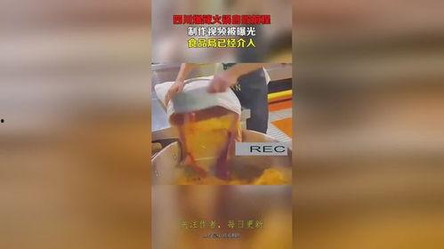 食品视频爆料大全,视频爆料大全深度解析