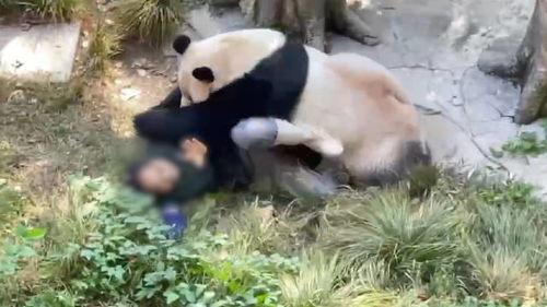 美国饲养员爆料新闻,内幕爆料震惊业界