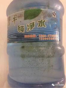 网友爆料纯净水视频,网友爆料视频曝光惊人内幕