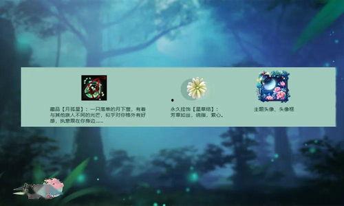 萤火虫光锥爆料视频,神秘生物的奇妙之光